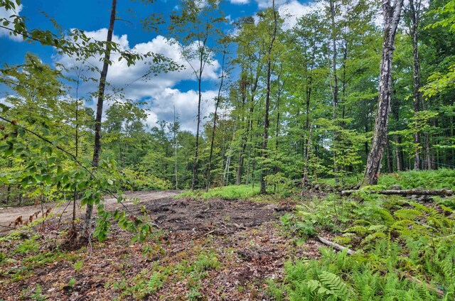 LOT02 Franklin Hwy, Andover, NH 03216