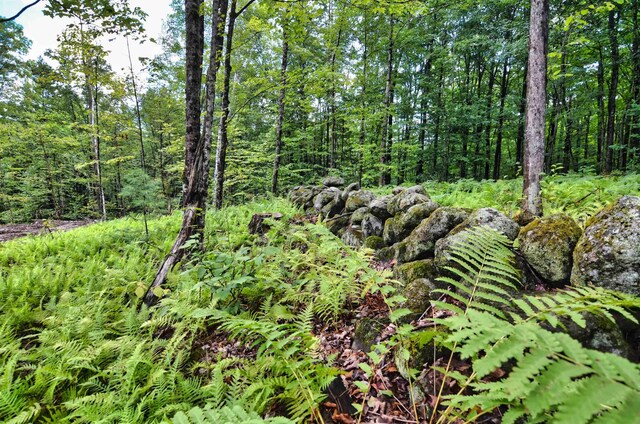 LOT02 Franklin Hwy, Andover, NH 03216