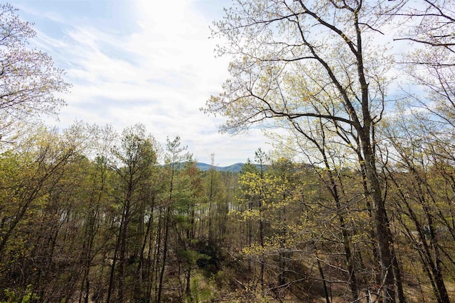 view of tree filled area