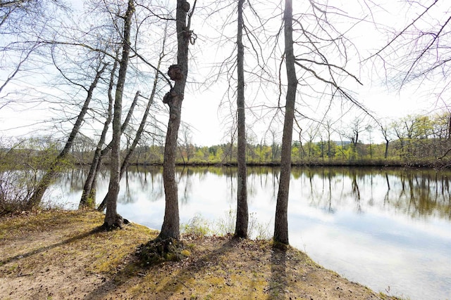 water view with a forest