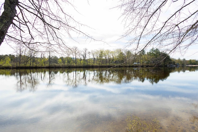 water view featuring a heavily wooded area