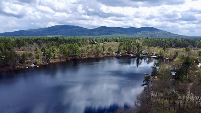 water view with a heavily wooded area and mountains