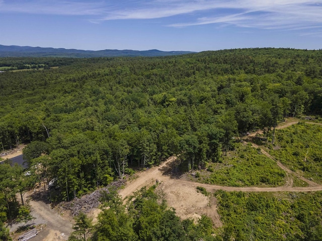 Polly Ham Rd, Northfield, NH 03276
