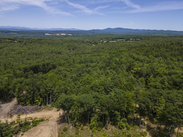 Polly Ham Rd, Northfield, NH 03276
