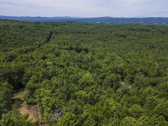 Polly Ham Rd, Northfield, NH 03276