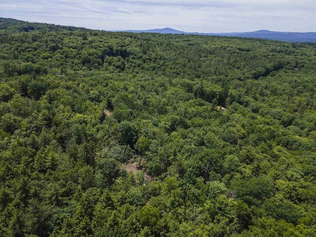 Polly Ham Rd, Northfield, NH 03276