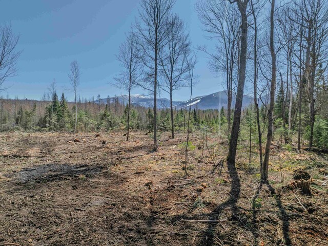 000 Easton Rd, Franconia, NH 03580