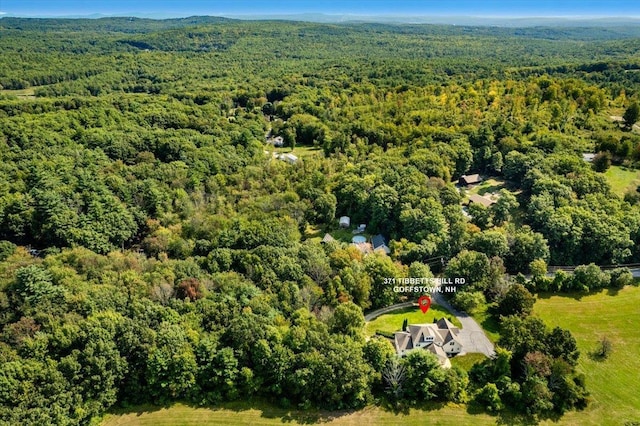 371 Tibbetts Hill Rd, Goffstown, NH 03045 - view of property location featuring a forest