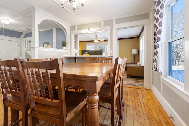 dining room featuring a ceiling fan, light wood finished floors, and crown molding