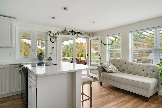 kitchen with black / electric stove, plenty of natural light, a breakfast bar area, and light countertops
