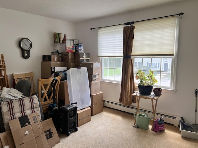 storage with a baseboard radiator