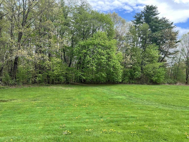 view of green lawn