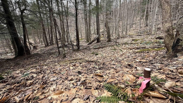 0 Taylor Rd, Fletcher, VT 05448