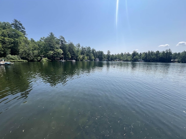 water view featuring a heavily wooded area