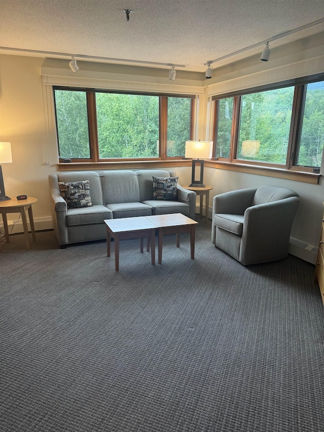 living room featuring track lighting, carpet flooring, and a textured ceiling