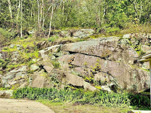 view of wooded area