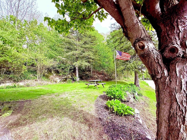 view of grassy yard