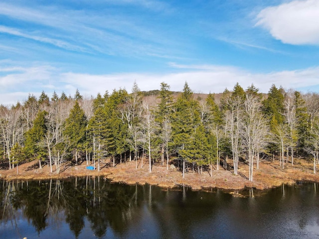 583 Mountain Rd, Newbury, NH 03255