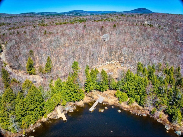 704 Highland Haven Rd, Washington, NH 03280