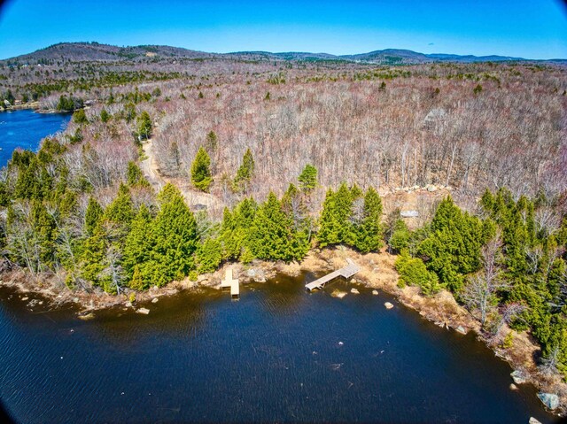704 Highland Haven Rd, Washington, NH 03280