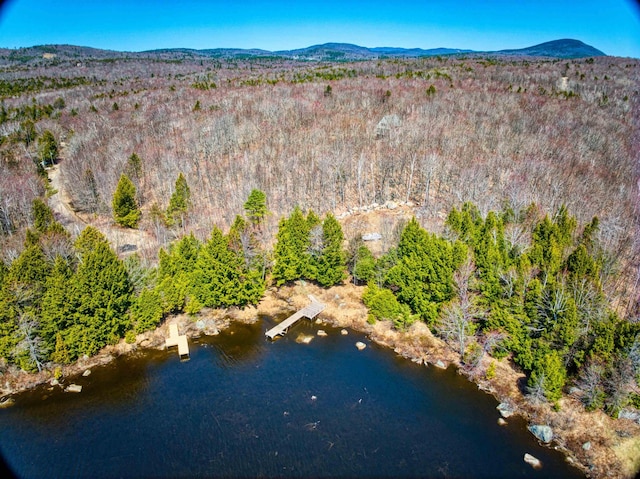 704 Highland Haven Rd, Washington, NH 03280