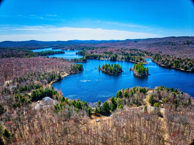 704 Highland Haven Rd, Washington, NH 03280