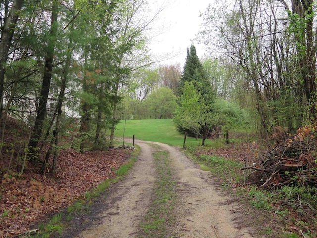 view of dirt / gravel road with a view of trees