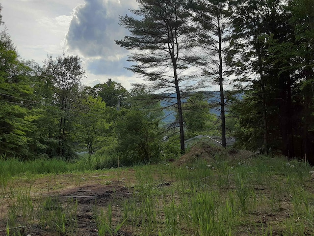 None S Lane, West Rutland, VT 05777