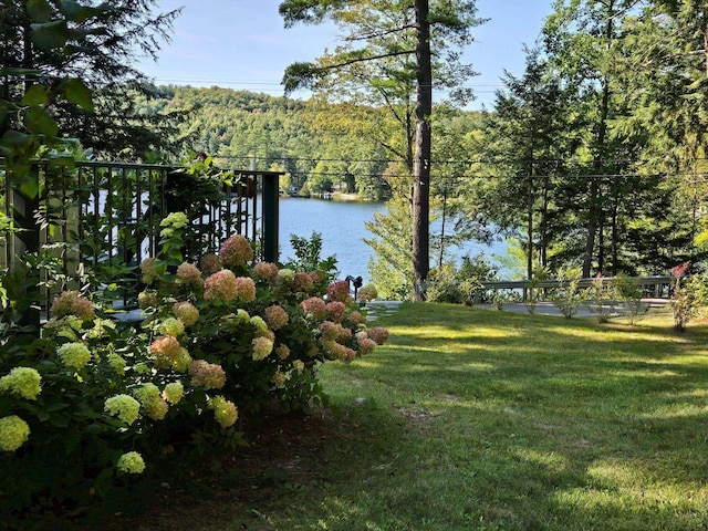 406 Partridge Lake Rd, Littleton, NH 03561 - view of grassy yard with a view of trees and a water view