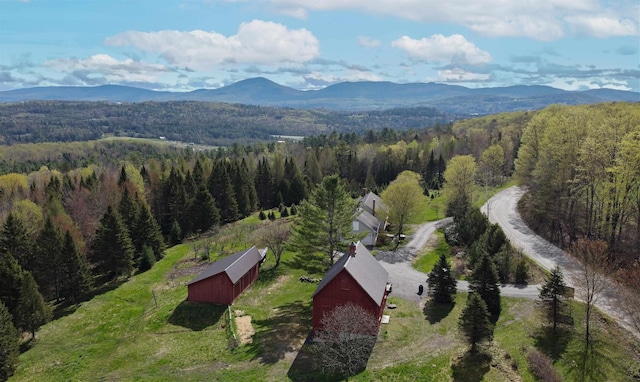 1202 Cotton Rd, Lyndon, VT 05851 - view of property location with a forest and a mountain backdrop