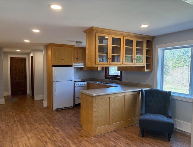 1202 Cotton Rd, Lyndon, VT 05851 - kitchen featuring white appliances, under cabinet range hood, a peninsula, a sink, and recessed lighting