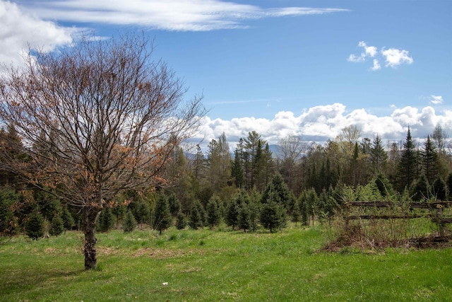 1202 Cotton Rd, Lyndon, VT 05851 - view of wooded area