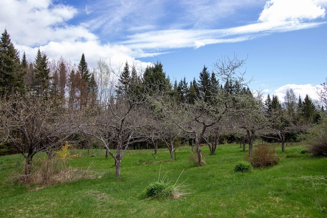 1202 Cotton Rd, Lyndon, VT 05851 - view of nature