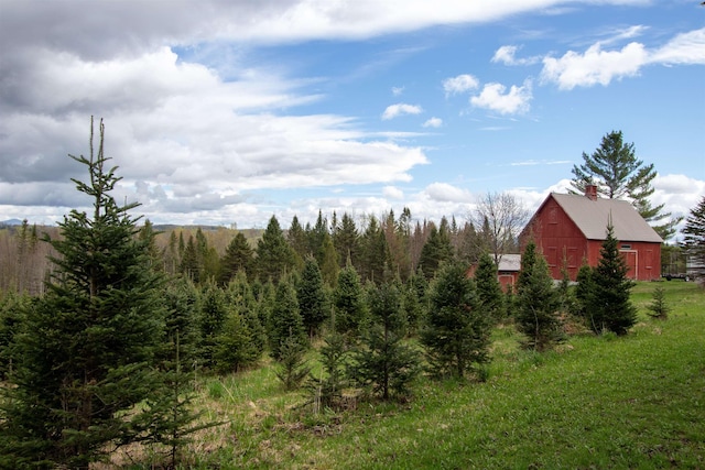 1202 Cotton Rd, Lyndon, VT 05851 - view of undeveloped land