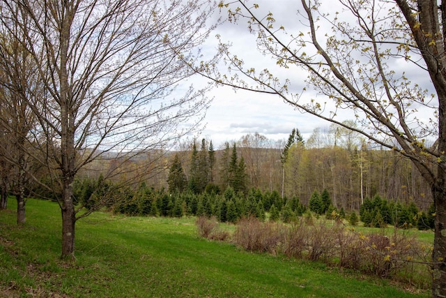 1202 Cotton Rd, Lyndon, VT 05851 - view of grassy yard featuring a view of trees