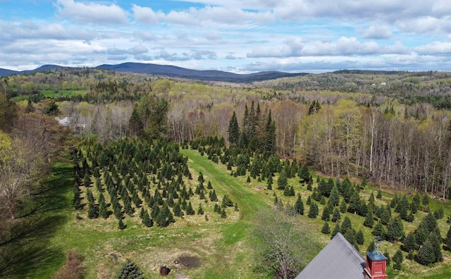1202 Cotton Rd, Lyndon, VT 05851 - bird's eye view of a forest and a mountainous background