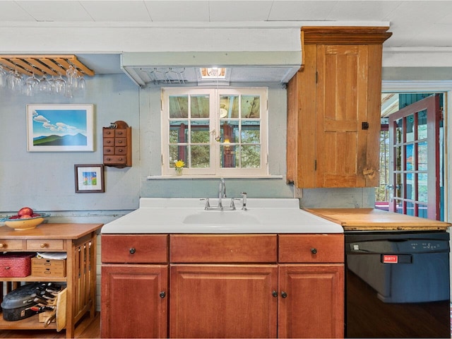 kitchen featuring black dishwasher, a sink, healthy amount of natural light, and light countertops