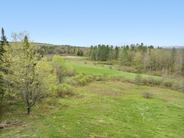 view of woods