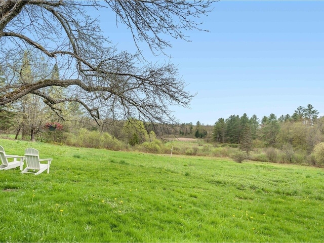 view of grassy yard