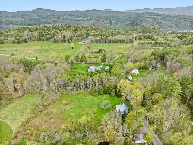 view of property location featuring a mountain backdrop and a forest