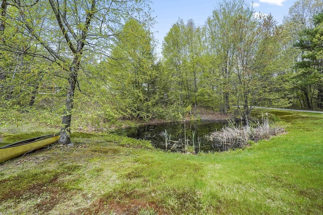 17 Ches Mae Ln, Milford, NH 03055 - view of yard with a forest view