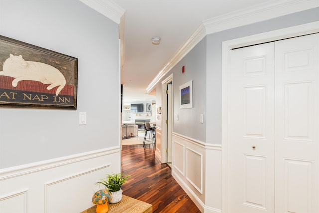 hall featuring dark wood-style floors, ornamental molding, and wainscoting