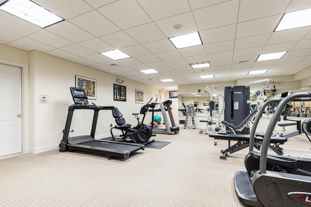 gym featuring carpet floors and a drop ceiling