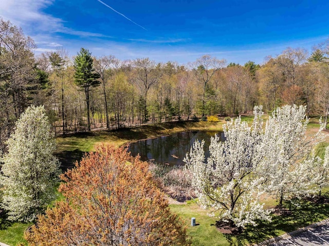 water view featuring a forest