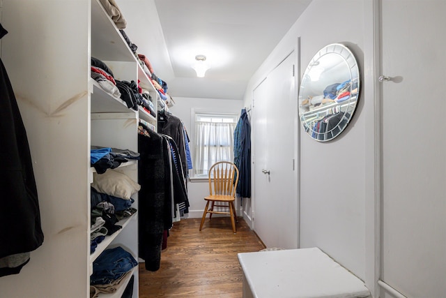 walk in closet featuring wood finished floors