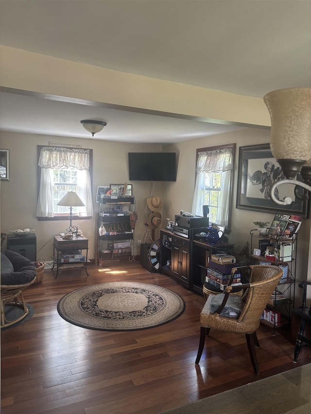 living room featuring wood finished floors