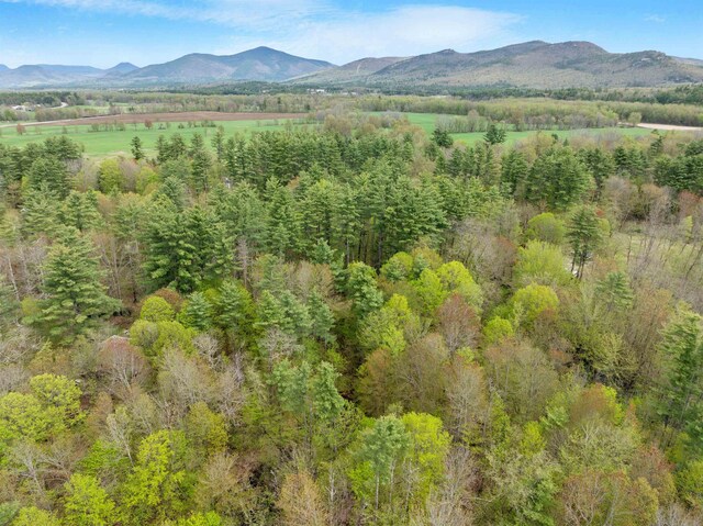 34 Bay Rd, Conway, NH 03818 - aerial view of property's location with mountains