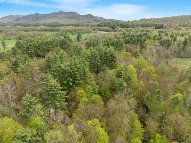 34 Bay Rd, Conway, NH 03818 - mountain view featuring a forest