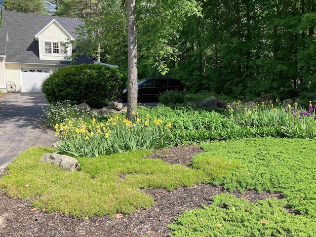 view of yard featuring asphalt driveway and an attached garage