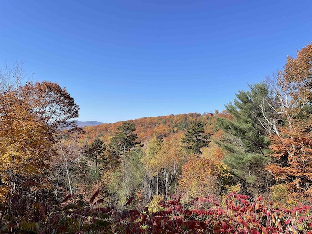 view of mountain backdrop with a forest